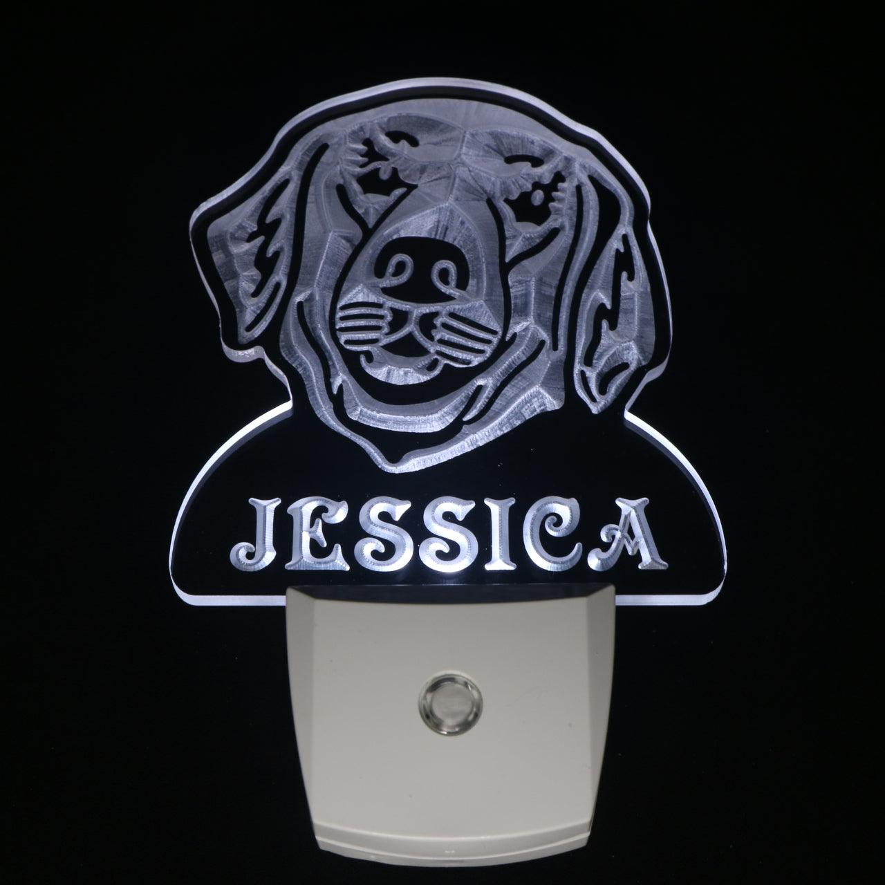 Golden Retriever Personalized Night Light Day/Night Sensor LED Sign